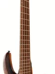La basse électrique ESP LTD B-1005 MS Natural Satin | Test et Avis | E.G.L