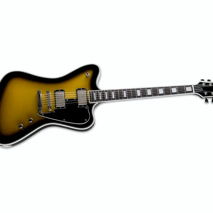 ESP LTD Bill Kelliher Sparrowhawk – photo 5