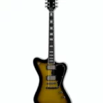 ESP LTD Bill Kelliher Sparrowhawk (Guitare électrique) Avis et Test