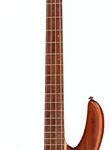 La basse électrique ESP LTD D-4 LH NS | Test et Avis | E.G.L