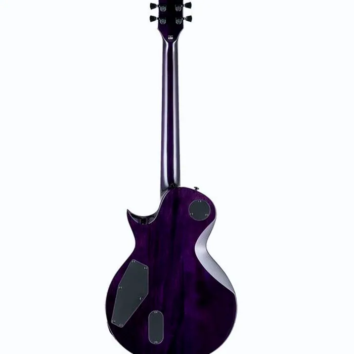 ESP LTD EC-1000 QM STPSB – photo 4