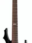 La basse électrique ESP LTD F-415 FM STBK | Test et Avis | E.G.L