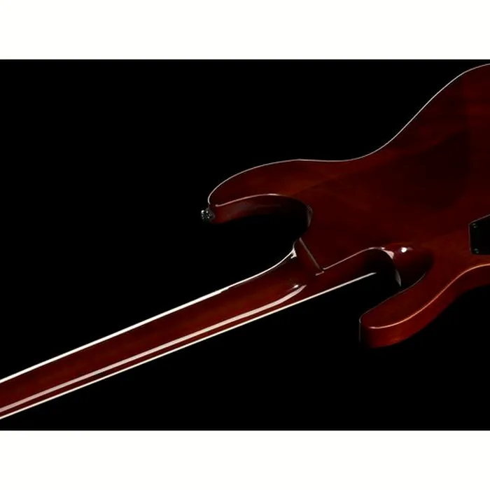 ESP LTD H-200FM Dark Brown SB – photo 11