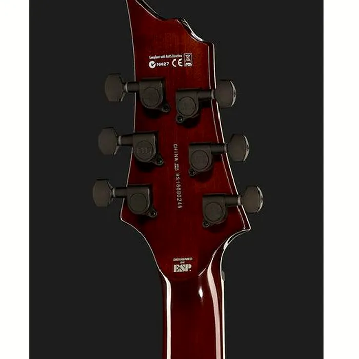 ESP LTD H-200FM Dark Brown SB – photo 9