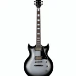 ESP LTD Royal Shiva Silver SB (Guitare électrique) Avis et Test