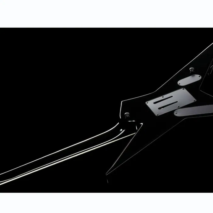 ESP LTD SD-2 Sammy Duet Black – photo 10