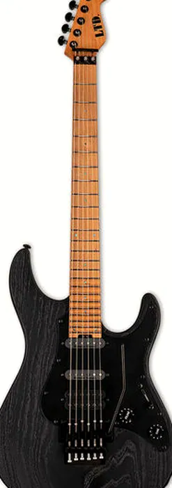 ESP LTD SN 1000 FRM Black Blast