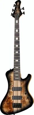 ESP LTD Stream-1005 Black Natural