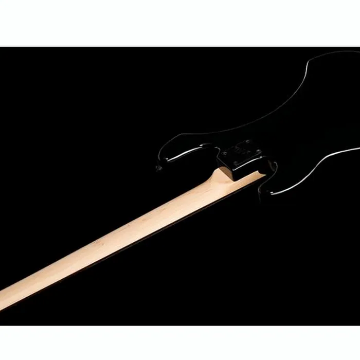 ESP LTD Surveyor´87 Black – photo 10