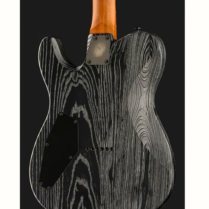 ESP LTD TE-1000 Silver Blast – photo 7