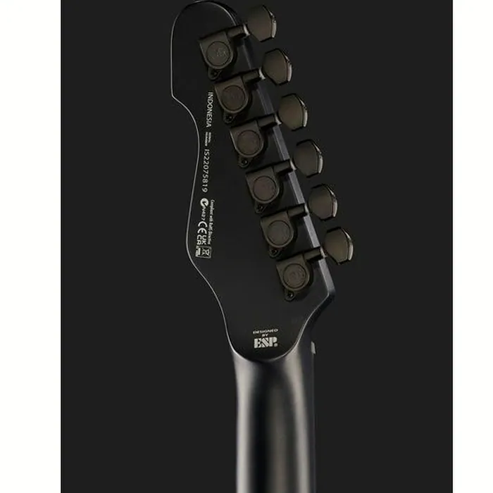 ESP LTD TE-201 Black Satin – photo 9