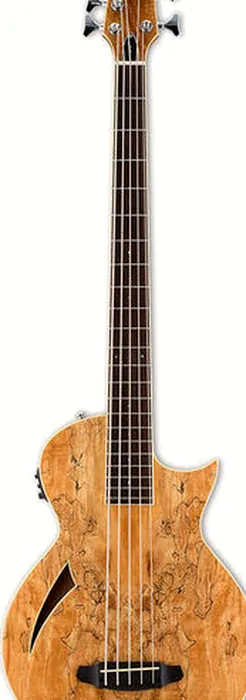 ESP LTD TL - 5SM Natural Gloss