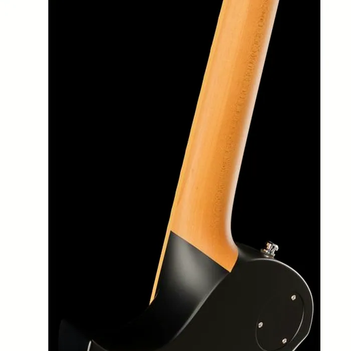 ESP RZK-II Richard Z Kruspe Burnt – photo 12
