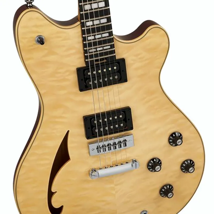 Evh SA-126 Special QM El Natural – photo 5