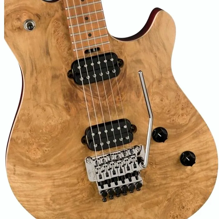 Evh Wolfgang WG Standard Laurel – photo 6