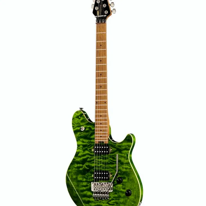 Evh Wolfgang WG Std QM TG – photo 2