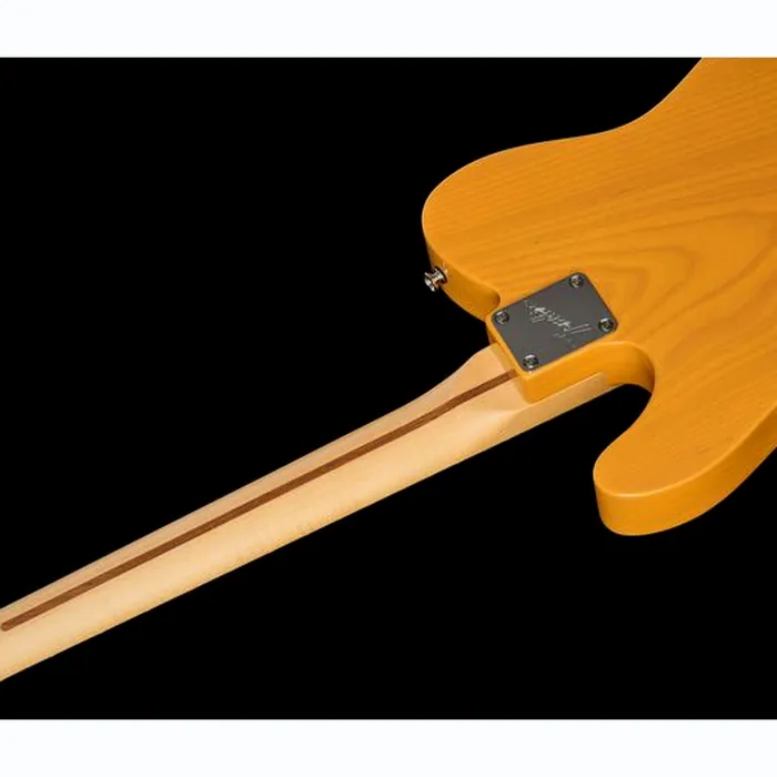 Fender Am Perf Tele Hum MN BTB – photo 12