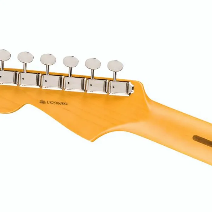 Fender Am Pro Clsc Strat HSS MN FBLK – photo 8