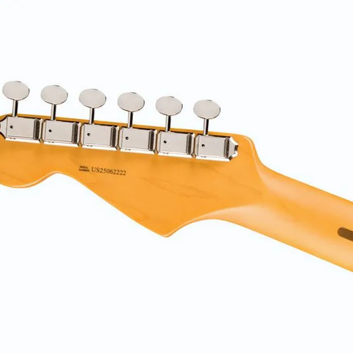 Fender Am Pro Clsc Strat HSS MN FLPB – photo 8