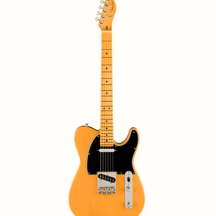 Fender Am Pro Clsc Tele MN BTB – photo 2
