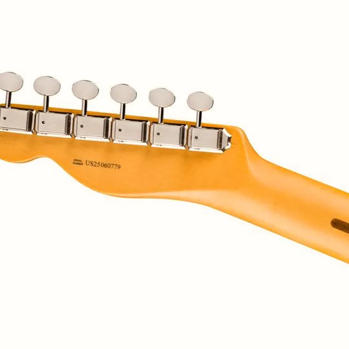 Fender Am Pro Clsc Tele MN BTB – photo 8