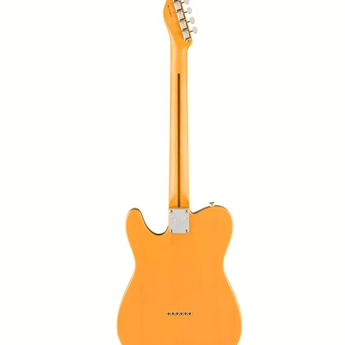 Fender Am Pro Clsc Tele MN BTB – photo 4