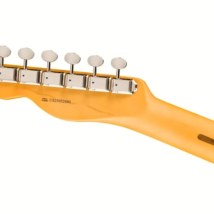 Fender Am Pro Clsc Tele MN FLPB – photo 8