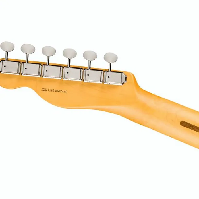 Fender Am Pro Clsc Tele MN FSGM – photo 8