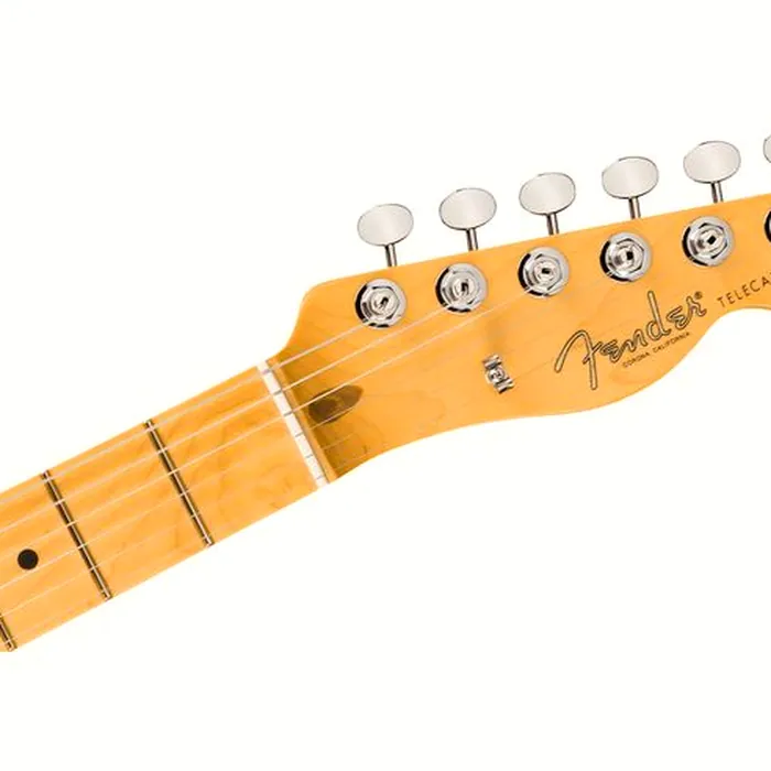 Fender Am Pro Clsc Tele MN FSGM – photo 7