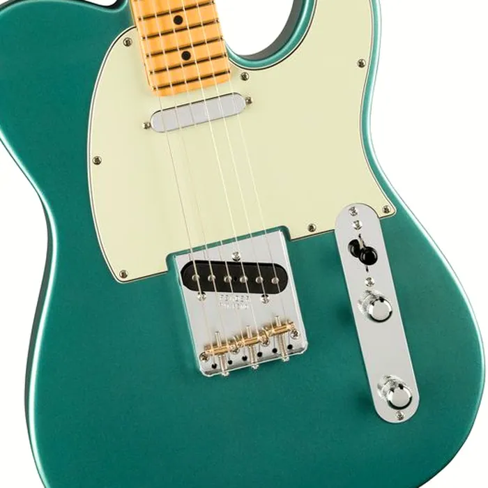 Fender Am Pro Clsc Tele MN FSGM – photo 5