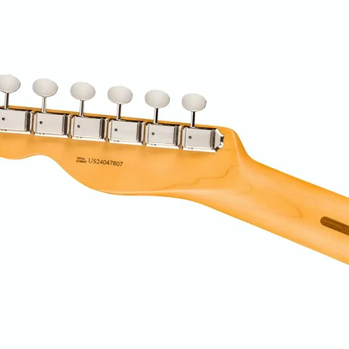 Fender Am Pro Clsc Tele RW FBLK – photo 8