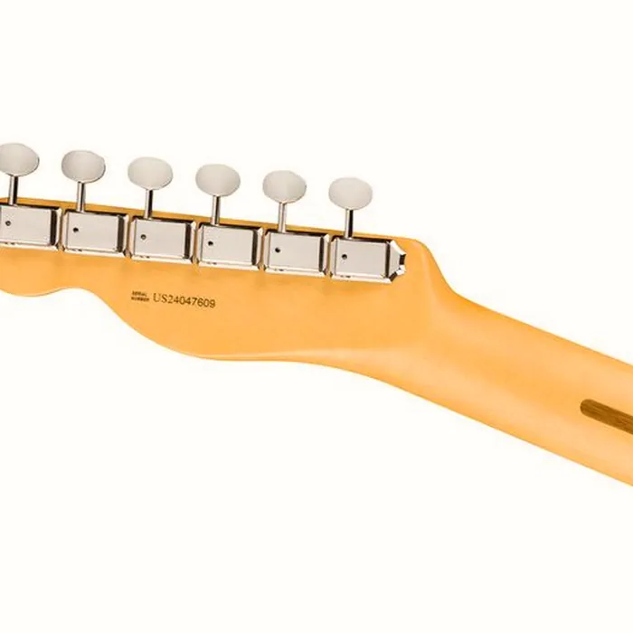 Fender Am Pro Clsc Tele RW FDKR – photo 8
