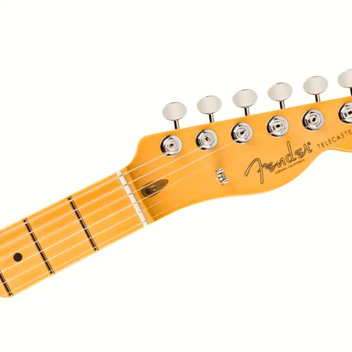 Fender Am Pro Clsc Tele SSS MN FLPB – photo 7