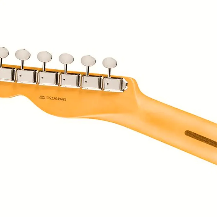 Fender Am Pro Clsc Tele SSS MN FLPB – photo 8