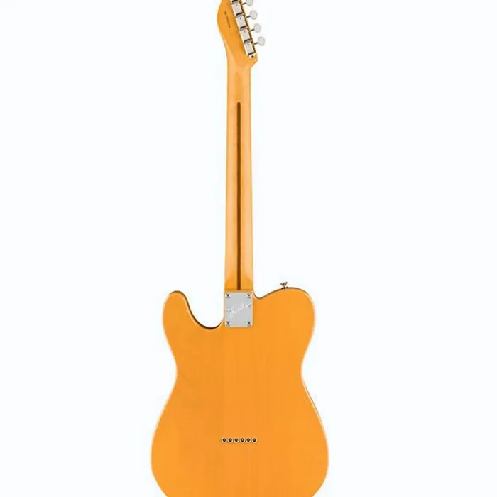 Fender Am Pro Clsc Tele SSS RW BTB – photo 4