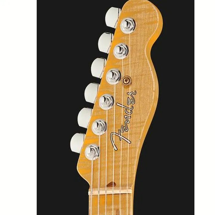 Fender Caballo Tono Ligero AMS Relic – photo 8
