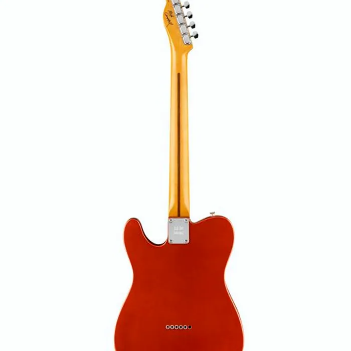 Fender Campbell Red Dog TELE MN RDR – photo 4