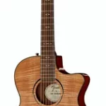 Guitare acoustique Fender FA-345CE Auditorium Na B-Stock | Test, Avis & Comparatif