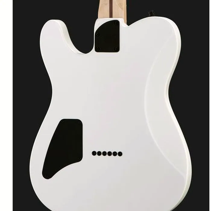 Fender Jim Root Telecaster Flat White – photo 7