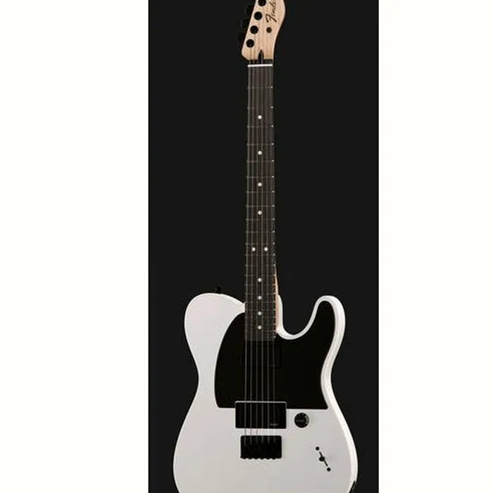 Fender Jim Root Telecaster Flat White – photo 4