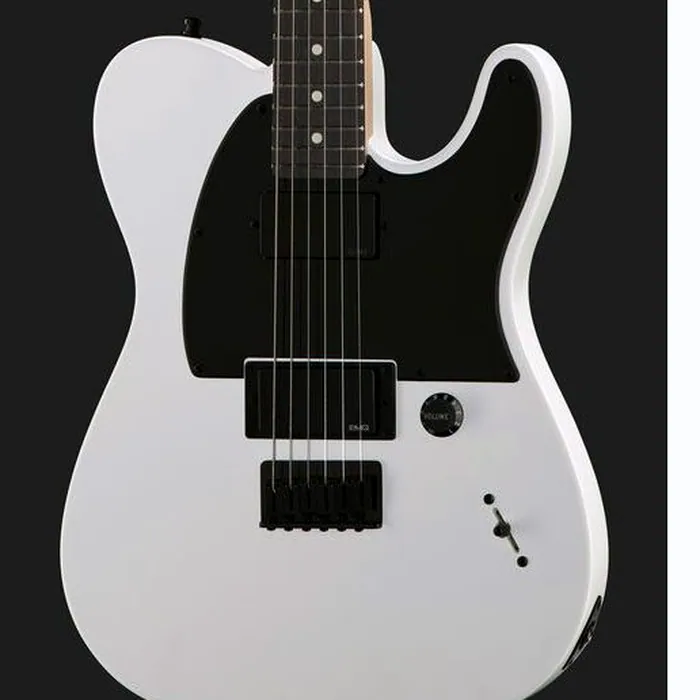 Fender Jim Root Telecaster Flat White – photo 6