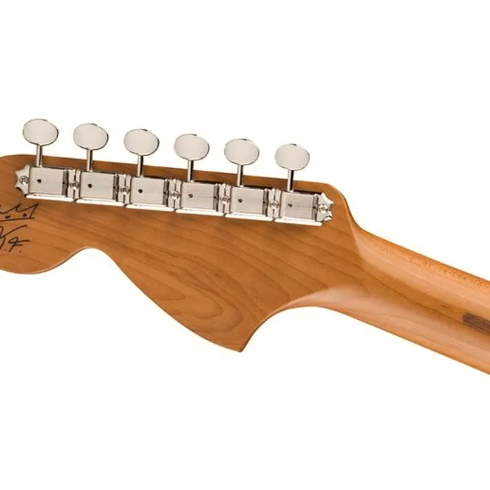 Fender Kingfish Delta Day Tele DNB – photo 8
