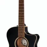Guitare acoustique Fender Newporter Special MBK w/Bag | Test, Avis & Comparatif