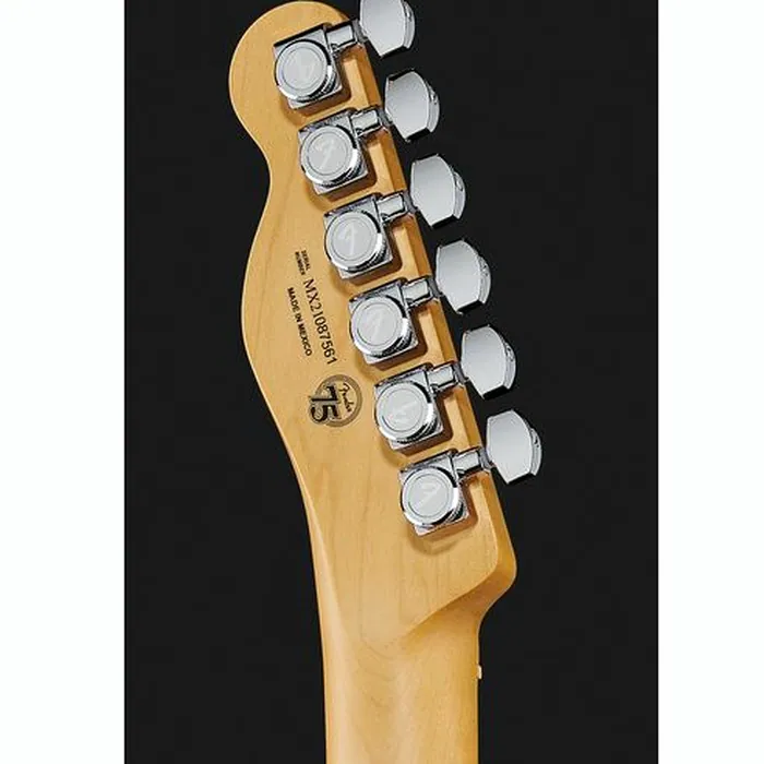 Fender Player Plus Nashv. MN Tele BB – photo 9