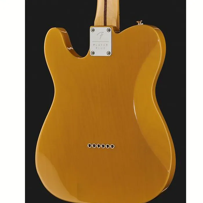 Fender Player Plus Nashv. MN Tele BB – photo 7