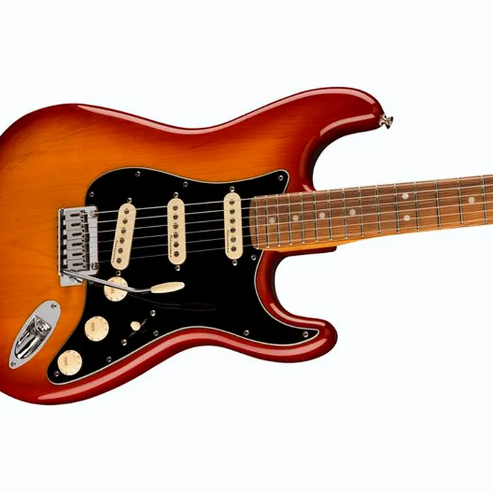 Fender Player Plus Strat PF SSB – photo 5