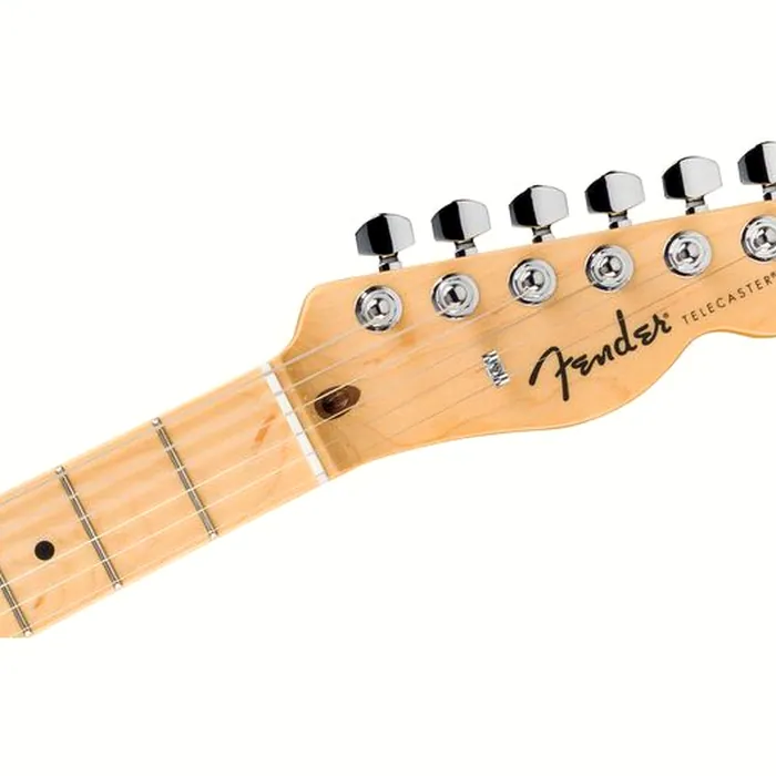 Fender Standard Tele MN BPG BTB – photo 6