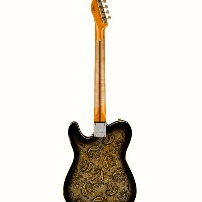 Fender Tele Dual P90 Black Paisley – photo 4