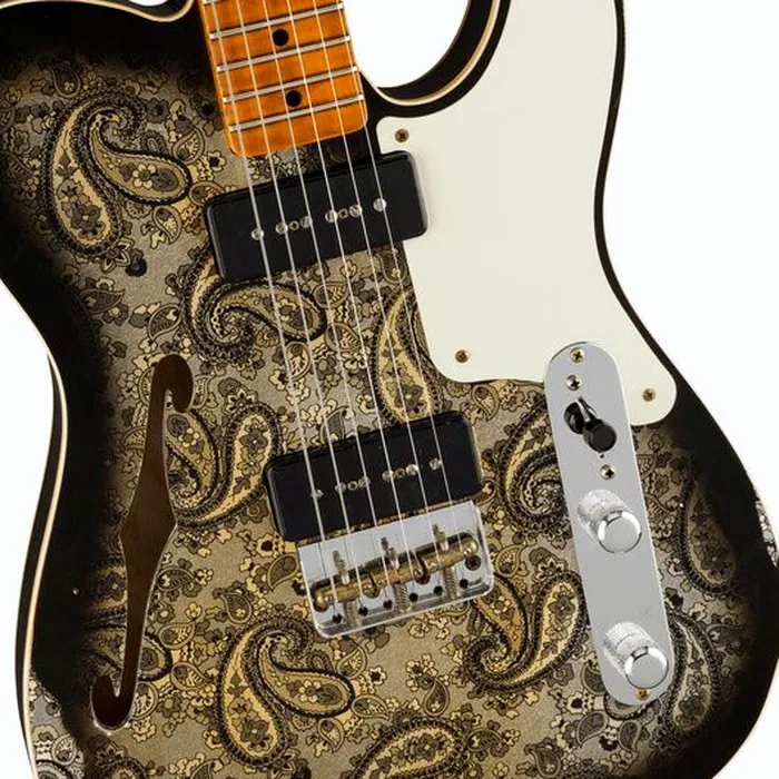 Fender Tele Dual P90 Black Paisley – photo 6