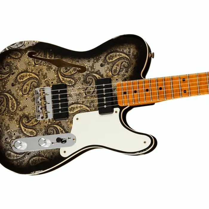 Fender Tele Dual P90 Black Paisley – photo 5
